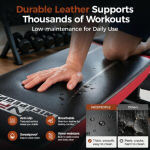 NICEPEOPLE Adjustable Weight Bench for Home Gym, 660LBS Capacity Workout Bench with 8 Backrests for Chest Shoulders Arms, Compact and Foldable Strength Bench for Small Space Apartment Room - Image 6